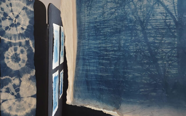 Mon autoportrait au cyanotype et Tie&Die / Stage créatif / De 7 à 14 ans / du 18 au 22 août / Eden | Centre Culturel de Charleroi
